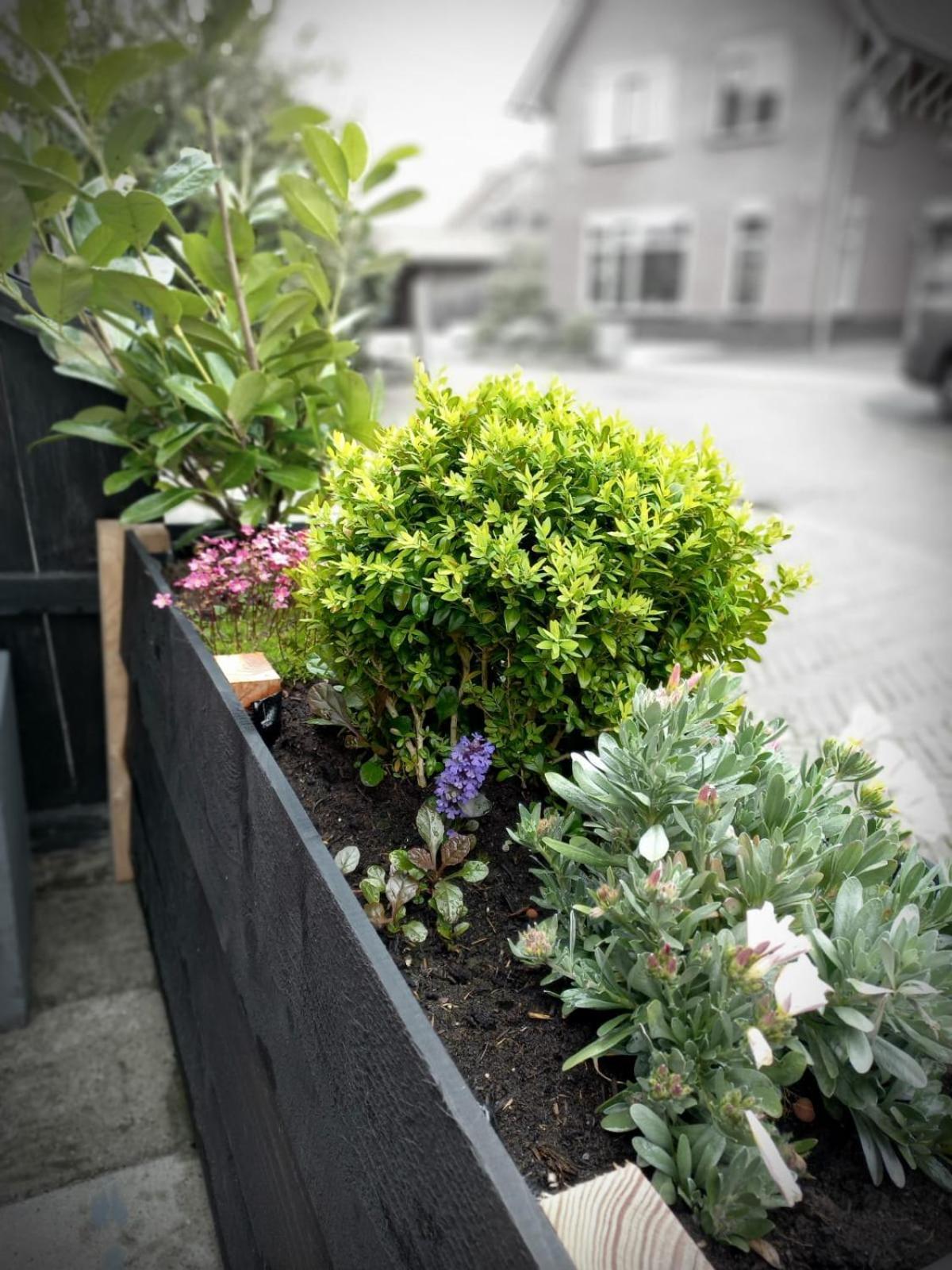 Bed & Breakfast De Schans Makkum Zewnętrze zdjęcie